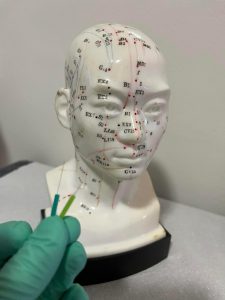 Facemodelling4